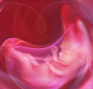 Abortion